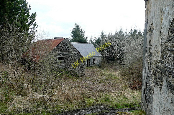 Photo 6"x4" Ruins in the forest Connolly c2010