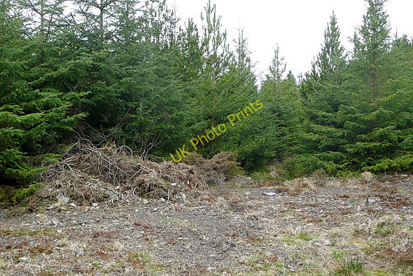 Photo 6"x4" Access to R1772 Connolly c2010