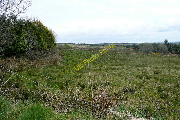 Photo 6"x4" Pasture at Furroor Connolly c2010