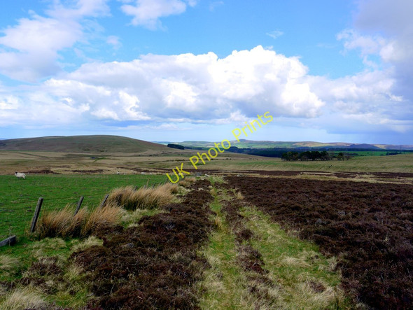 Photo 6"x4" Bridleway south of The Dod Ingram c2010