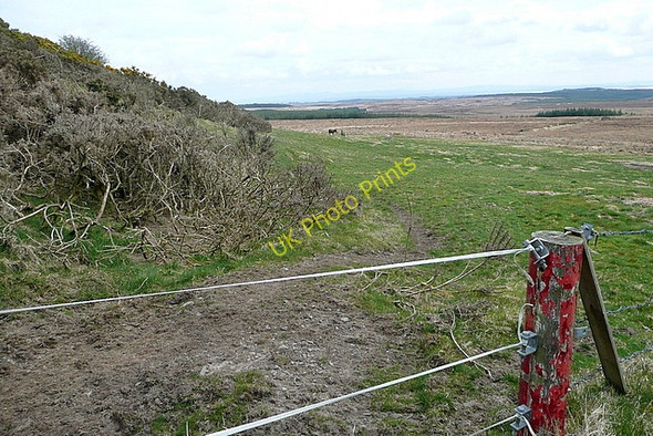 Photo 6"x4" Farmland south of Ben Dash Liscasey c2010