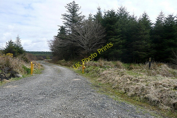 Photo 6"x4" Track to Ben Dash Liscasey c2010