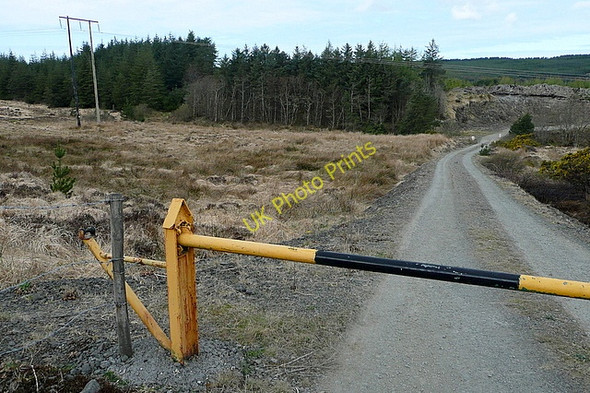 Photo 6"x4" Forestry track near Boolyneaska Connolly c2010
