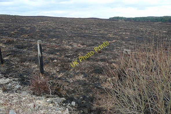 Photo 6"x4" Moorland at Booltiagh Liscasey c2010