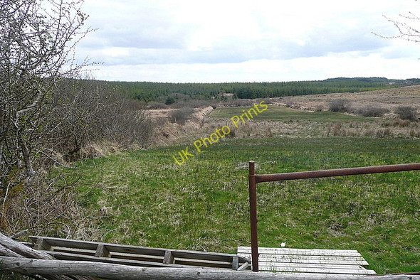 Photo 6"x4" Rough grazing at Booltiagh Liscasey c2010