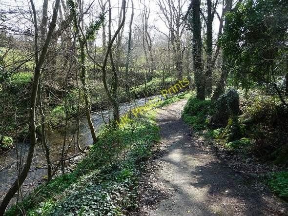 Photo 6"x4" Looking down Silverdale Glen Ballasalla\/SC2870 c2010