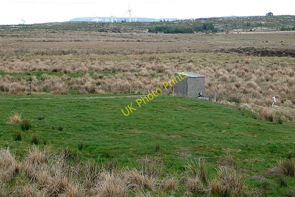 Photo 6"x4" Pasture at Doolough Kilmihil c2010