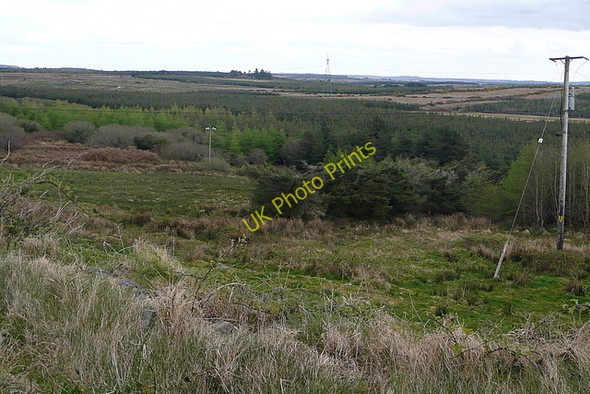 Photo 6"x4" Land at Cragnashingaun Kilmihil c2010