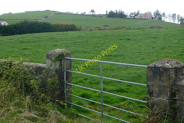 Photo 6"x4" Towards Cahermurphy Hill Kilmihil c2010
