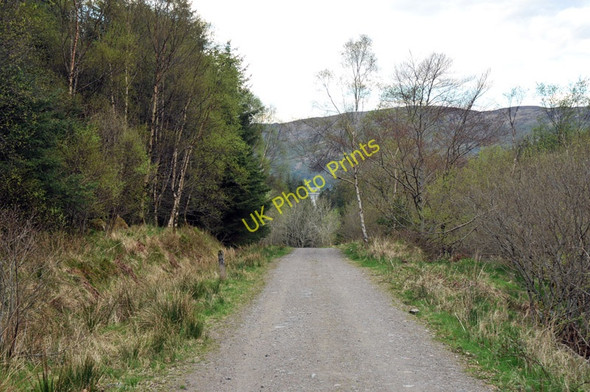 Photo 6"x4" Forestry road in Glen Achulish South Ballachulish c2010