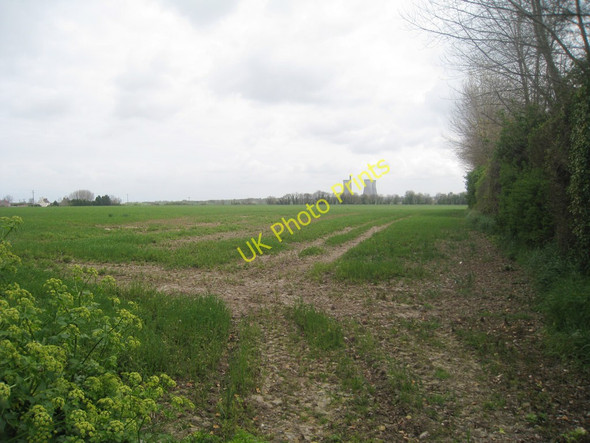 Photo 6"x4" Field off Grinsell Hill Way\/TR3265 c2010