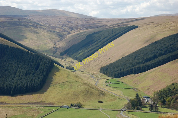 Photo 6"x4" The valley of Chapelhope Chapelhope c2010