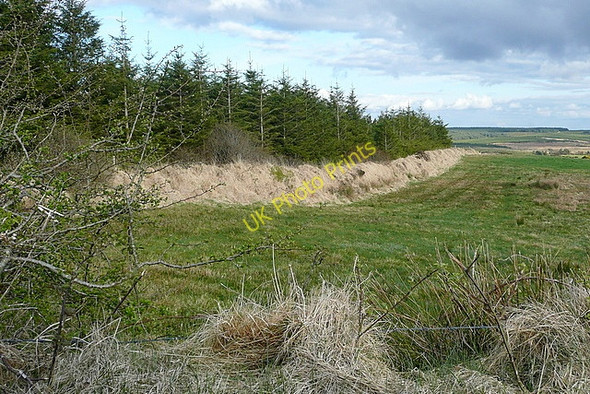 Photo 6"x4" Pasture at Cloonlaheen East Connolly c2010