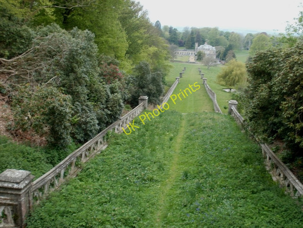 Photo 6"x4" Charborough Park, tower approach Almer c2010