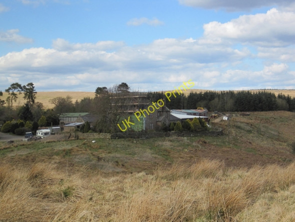 Photo 6"x4" Dumblar Rigg Dumblar Rigg c2010