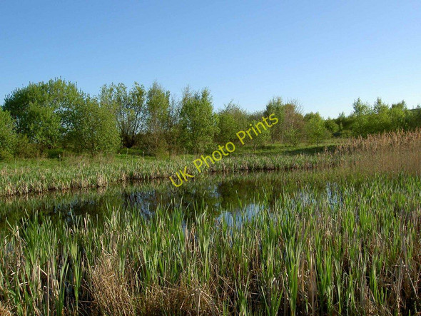 Photo 6"x4" Pond and reed bed Edderthorpe Flash Cudworth Common\/SE3907 c2010