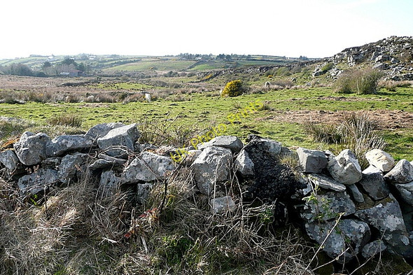 Photo 6"x4" Pasture north of Doo Lough Mullagh c2010