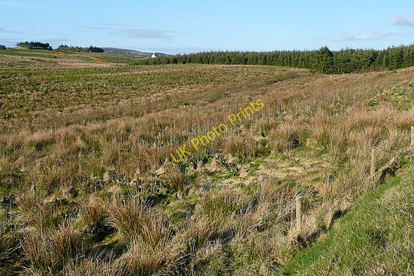 Photo 6"x4" Rough grazing at Cloonlaheen West Mullagh c2010