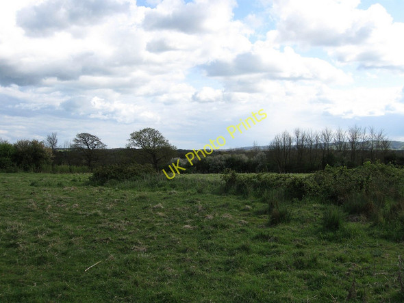 Photo 6"x4" Horse Pasture Hailsham c2010