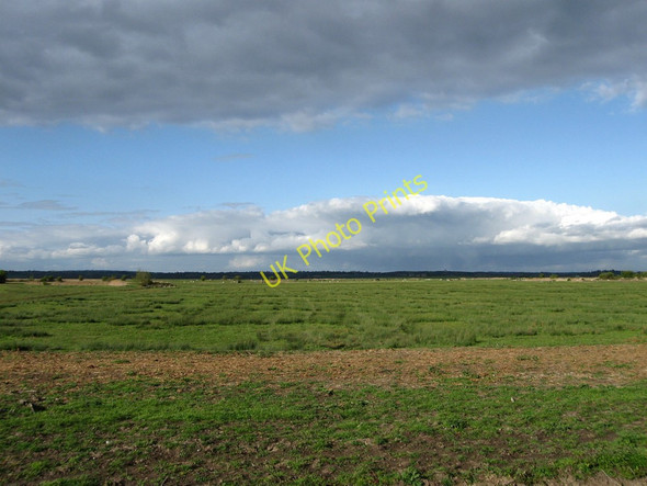 Photo 6"x4" Thirteen Acre Marsh Hailsham c2010