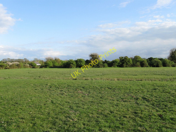 Photo 6"x4" Six Acres Marsh Hailsham c2010