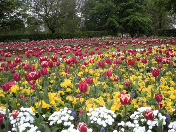 Photo 6"x4" Aston Hall Gardens Birmingham c2010