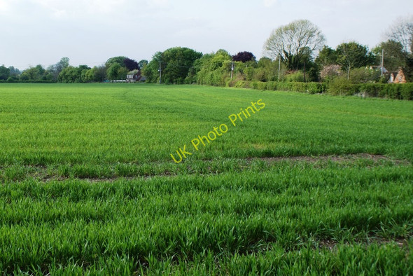 Photo 6"x4" Fields on the southern edge of Watlington Britwell Salome c2010