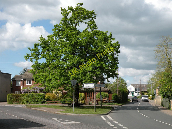 Photo 6"x4" Road junction with oak tree Histon c2010
