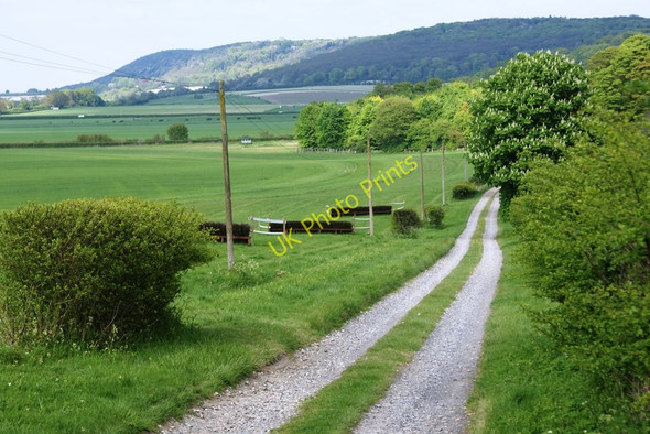Photo 6"x4" View towards Kingston Grove Kingston Blount c2010
