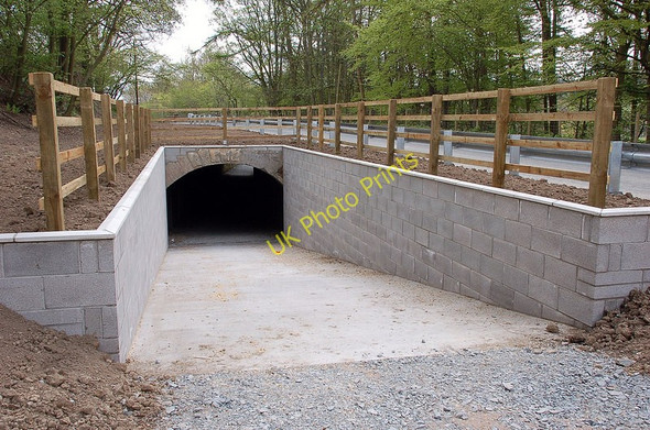 Photo 6"x4" Western entrance to newly re-opened Eshiels tunnel Peebles\/NT2540 c2010