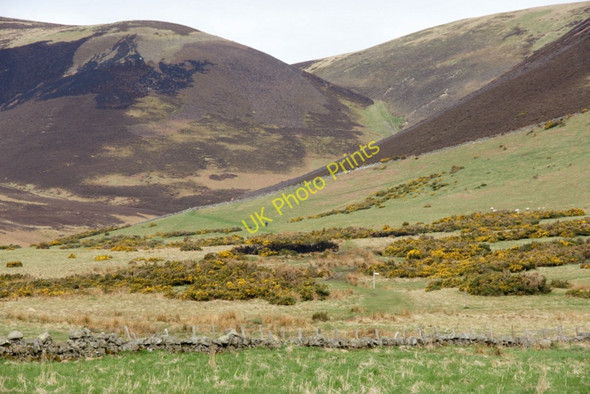 Photo 6"x4" The Kirk Road, near Silverburn Silverburn\/NT2060 c2010