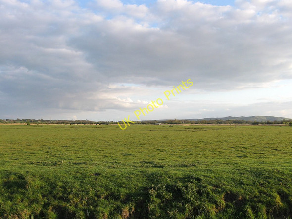 Photo 6"x4" Pound Marsh Hailsham c2010