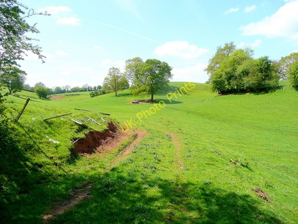 Photo 6"x4" Pastoral countryside Botloe's Green c2010