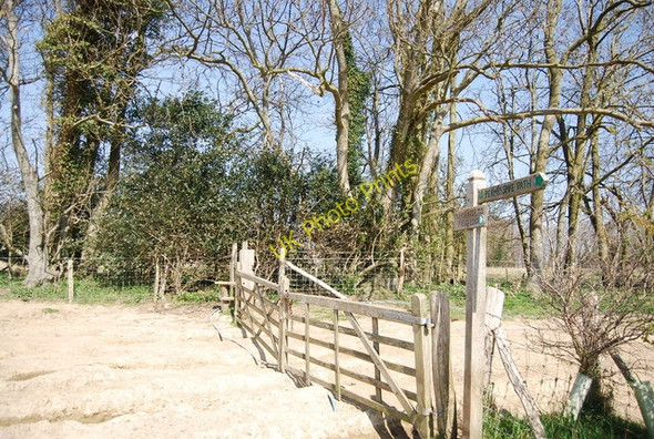 Photo 6"x4" Permissive path meets the 1066 Country Walk Winchelsea c2010