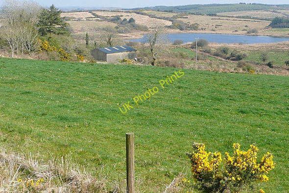 Photo 6"x4" Derrygarve Lough Connolly c2010