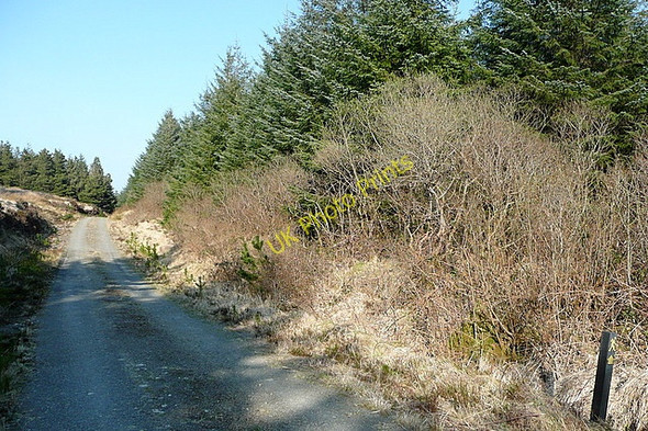 Photo 6"x4" On the trail in Ben Dash forest Liscasey c2010 P1
