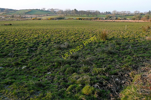 Photo 6"x4" Pasture at Lismulbreeda Derragh c2010