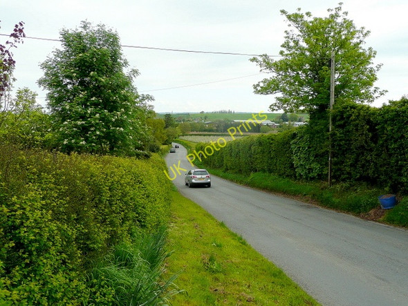 Photo 6"x4" Road to Withington Bartestree c2010