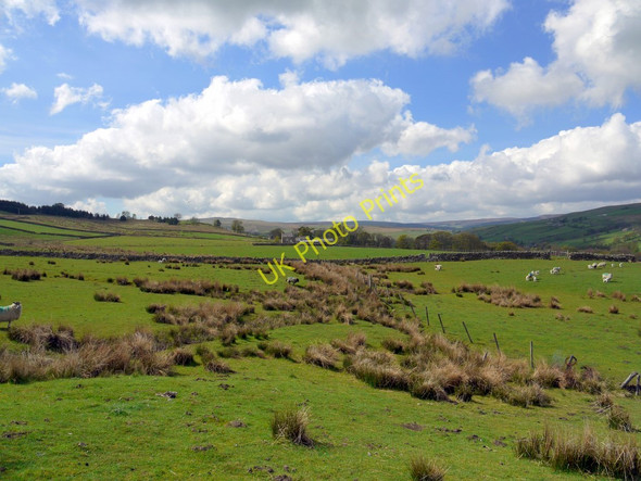 Photo 6"x4" Pasture east of High Hotts New Ho\/NY8738 c2010