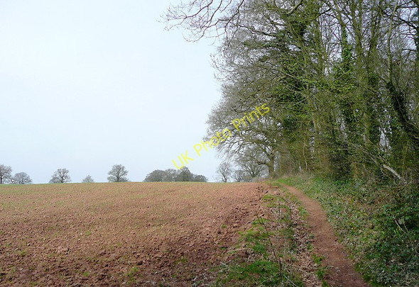 Photo 6"x4" Arable land near Enville, Staffordshire Blundies c2010