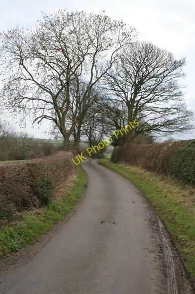 Photo 6"x4" Lane to Stobb House Farm Redworth c2011