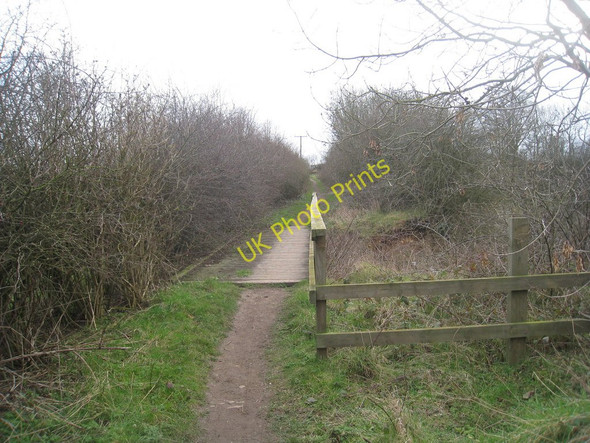 Photo 6"x4" Footpath alongside New Quarry (2) Barton Waterside c2011