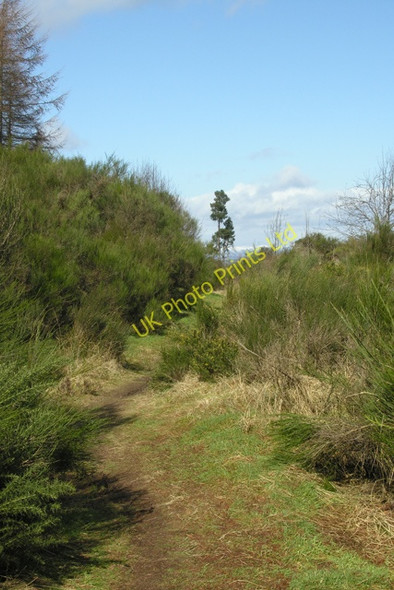 Photo 6"x4" General Wade's Military Road. Castleton Village c2008