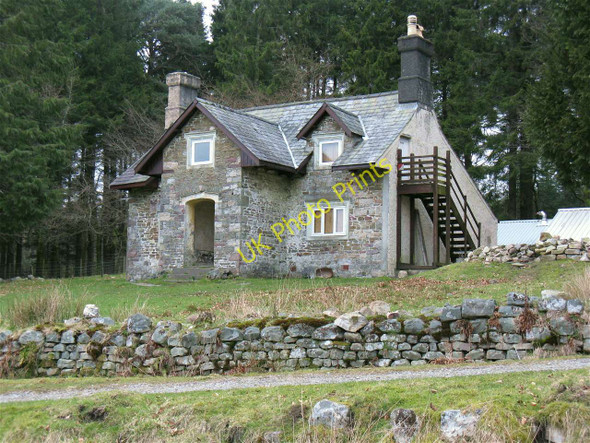 Photo 6"x4" Tir-y-cwm house in Giedd Forest Cae'r-Lan\/SN8012 c2011