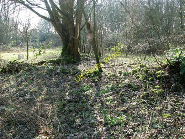 Photo 6"x4" Thursford Castle - the Walsingham Union workhouse Thursford c2011