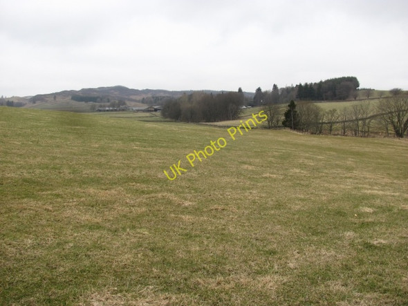 Photo 6"x4" Pasture, Persie Netherton\/NO1452 c2011