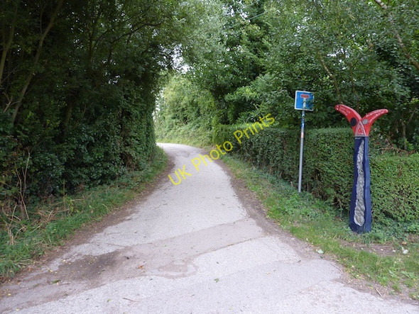 Photo 6"x4" Looking north along the Crab & Winkle Way Blean c2010