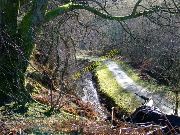 Photo 6"x4" Greenock Cut in Shielhill Glen Spango\/NS2374 c2011