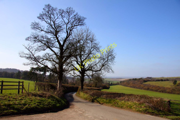 Photo 6"x4" The road down Colliers Hill Cookley Green\/SU6990 c2011