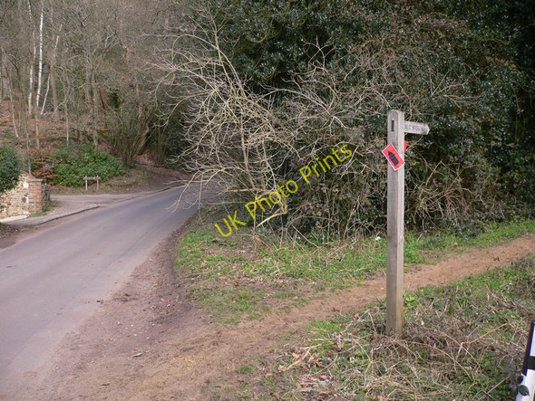 Photo 6"x4" Bridleway off Sheephatch Lane Farnham\/SU8446 c2011